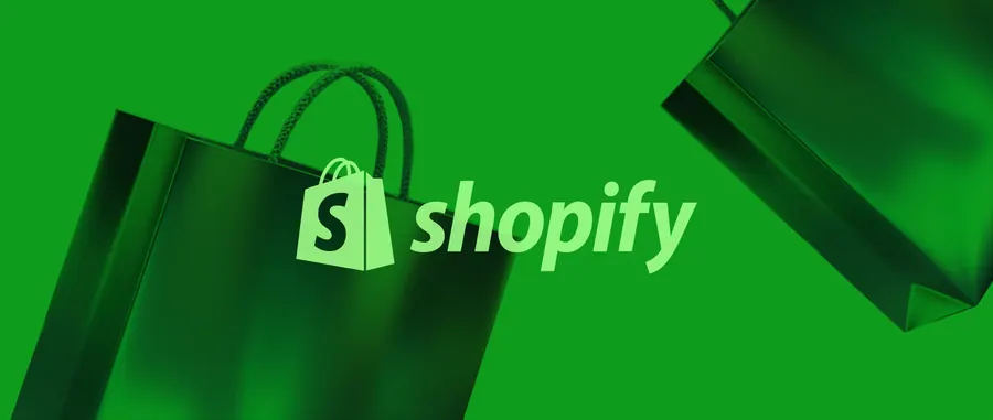 Shopify website development in North East India