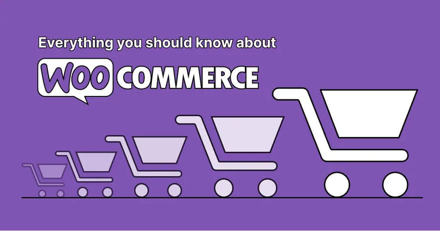 WooCommerce website development in North East India