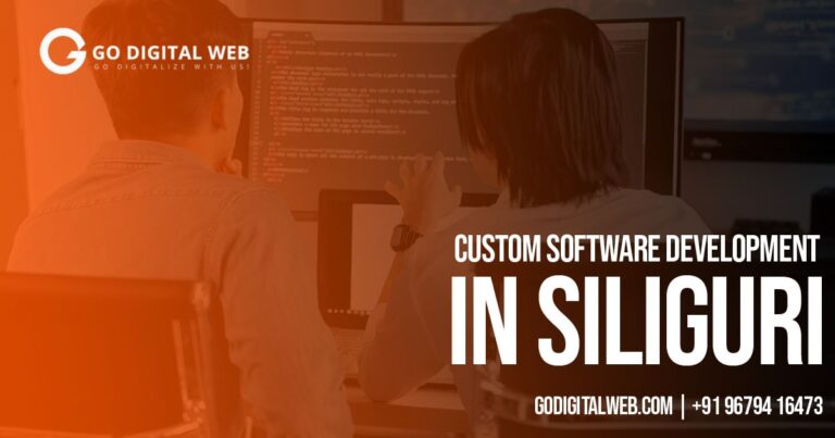 custom-software-development-in-siliguri